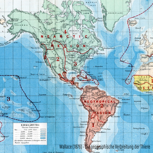 Regiones biogeográficas