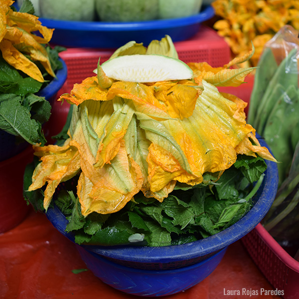 Calabazas y chilacayotes