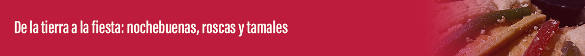 De la tierra a la fiesta: nochebuenas, roscas y tamales