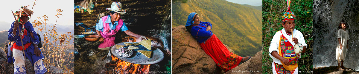 Qué es diversidad natural y cultural? | Biodiversidad Mexicana Qué es diversidad natural y cultural? | Biodiversidad Mexicana