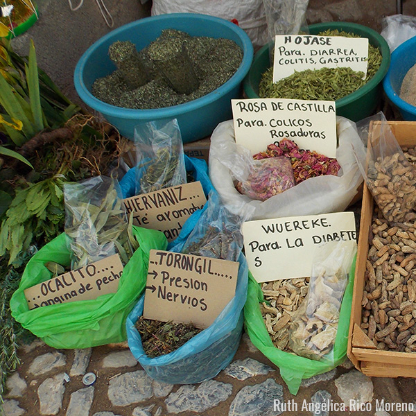 Plantas medicinales