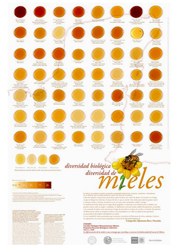 Diversidad biológica de mieles