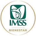 imss bienestar