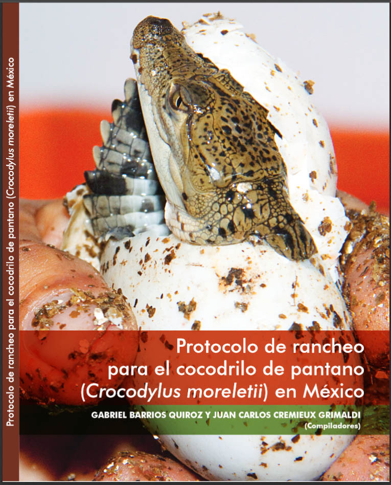 Protocolo de rancheo para el cocodrilo de pantano